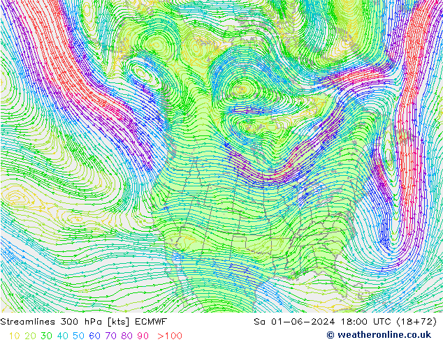 Streamlines 300 hPa ECMWF Sa 01.06.2024 18 UTC