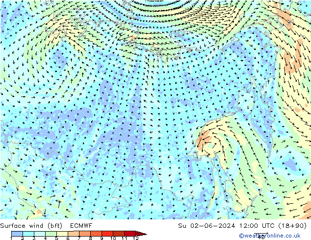 Bodenwind (bft) ECMWF So 02.06.2024 12 UTC