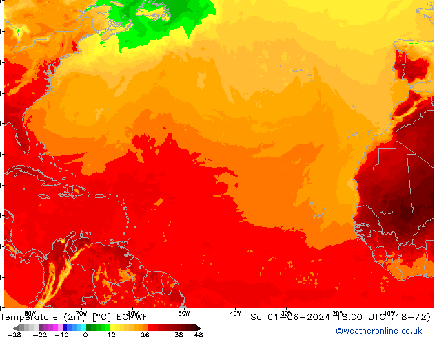 Temperatura (2m) ECMWF sáb 01.06.2024 18 UTC