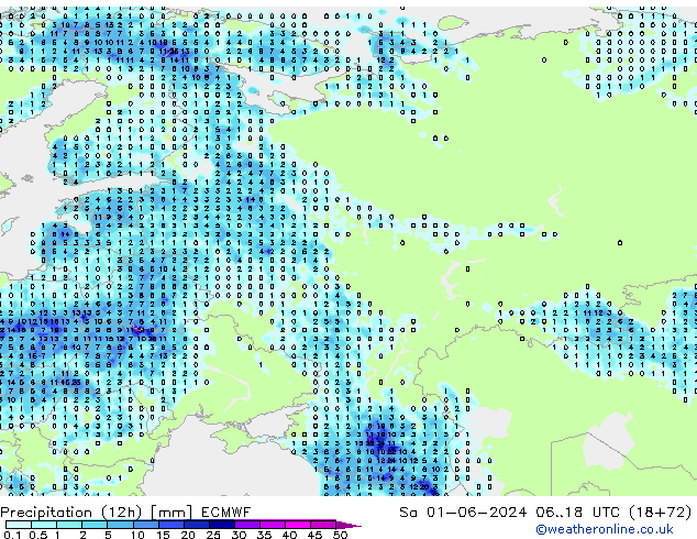 Precipitation (12h) ECMWF Sa 01.06.2024 18 UTC