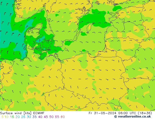 Vent 10 m ECMWF ven 31.05.2024 06 UTC