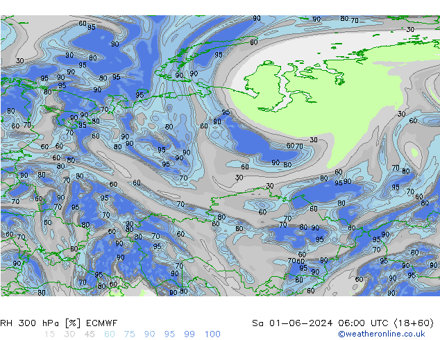 RH 300 гПа ECMWF сб 01.06.2024 06 UTC