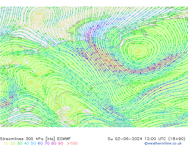 ветер 300 гПа ECMWF Вс 02.06.2024 12 UTC