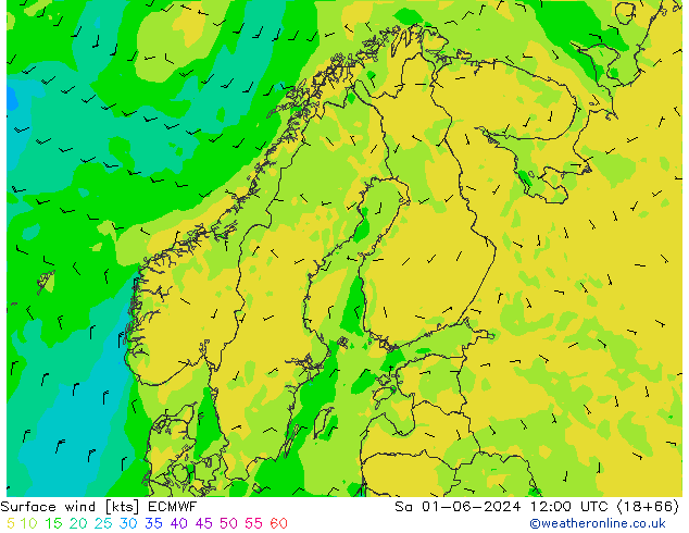 Rüzgar 10 m ECMWF Cts 01.06.2024 12 UTC