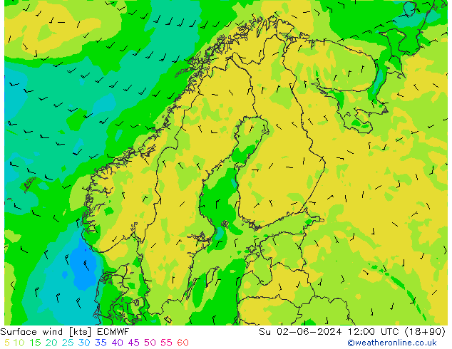 Viento 10 m ECMWF dom 02.06.2024 12 UTC