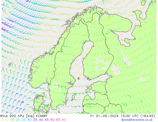 Wind 900 hPa ECMWF Pá 31.05.2024 15 UTC