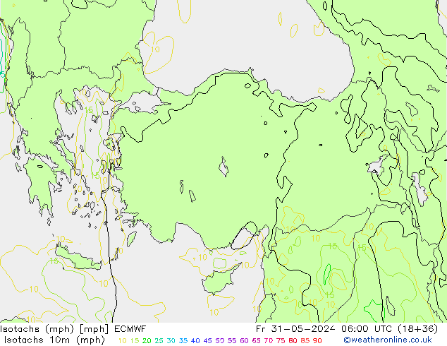 Izotacha (mph) ECMWF pt. 31.05.2024 06 UTC