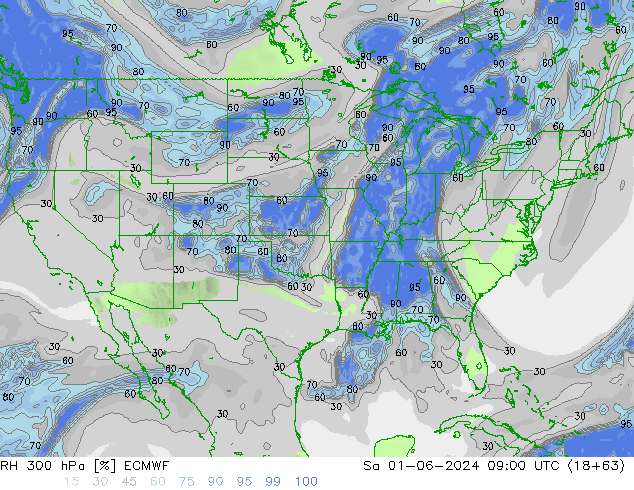 RV 300 hPa ECMWF za 01.06.2024 09 UTC