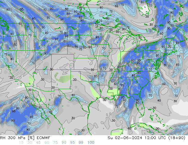 RH 300 hPa ECMWF Dom 02.06.2024 12 UTC