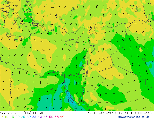 Wind 10 m ECMWF zo 02.06.2024 12 UTC