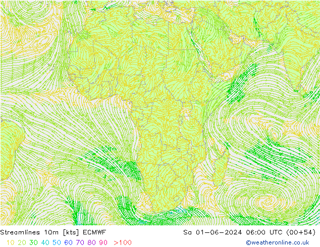 ветер 10m ECMWF сб 01.06.2024 06 UTC