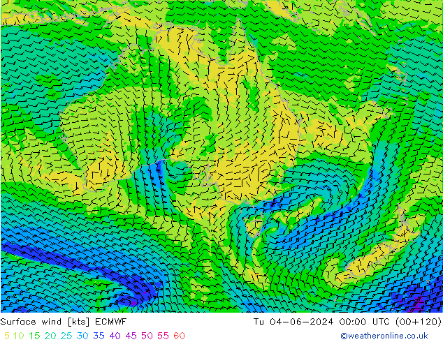 Bodenwind ECMWF Di 04.06.2024 00 UTC