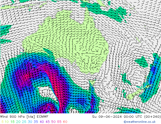 Wind 900 hPa ECMWF Ne 09.06.2024 00 UTC