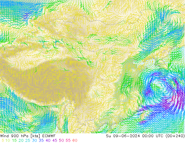 wiatr 900 hPa ECMWF nie. 09.06.2024 00 UTC