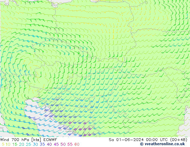 Vento 700 hPa ECMWF Sáb 01.06.2024 00 UTC