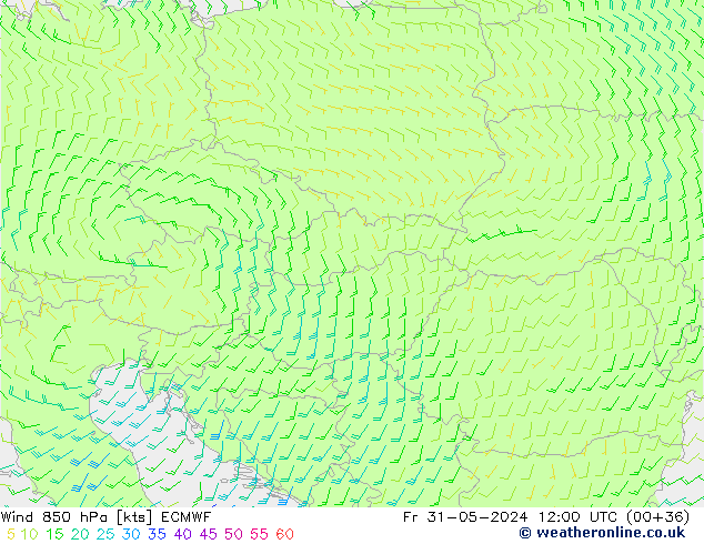 Wind 850 hPa ECMWF vr 31.05.2024 12 UTC