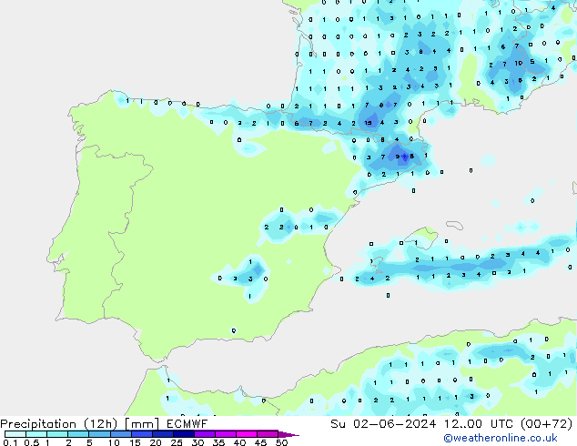 Precipitation (12h) ECMWF Su 02.06.2024 00 UTC