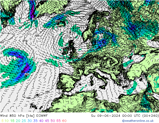 Wind 850 hPa ECMWF Su 09.06.2024 00 UTC