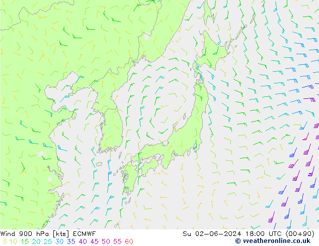 Viento 900 hPa ECMWF dom 02.06.2024 18 UTC