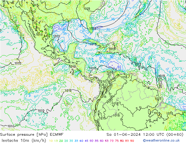 Isotachen (km/h) ECMWF Sa 01.06.2024 12 UTC