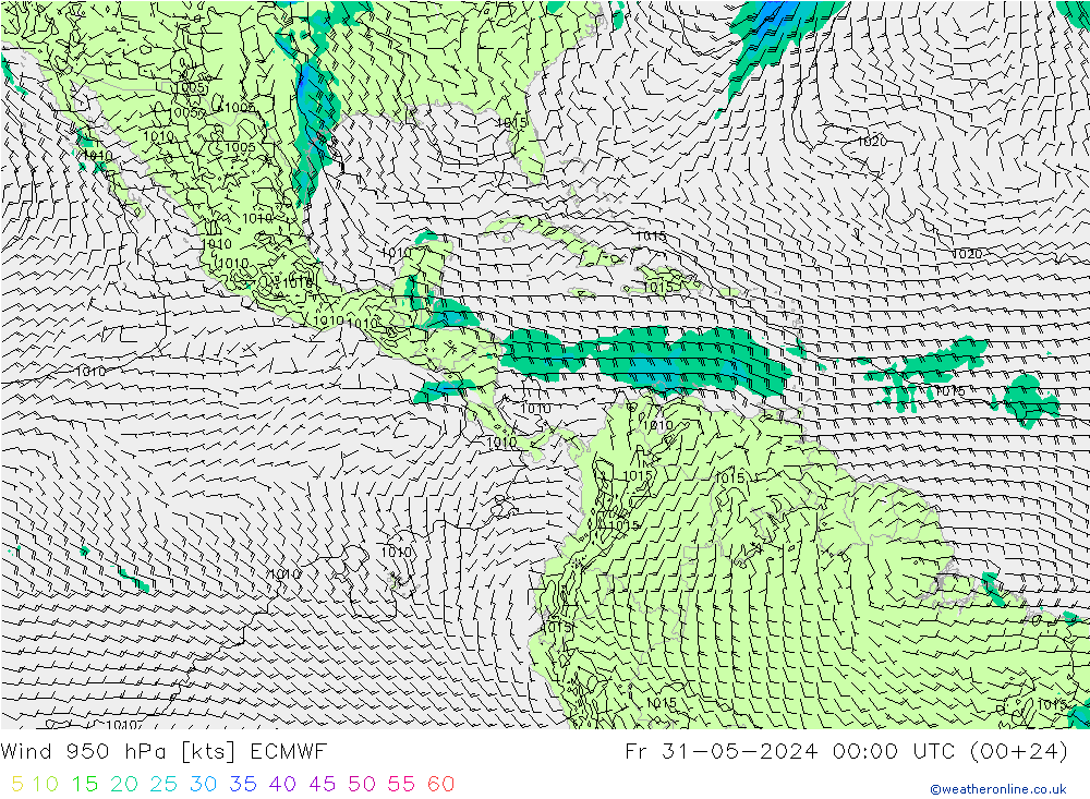  950 hPa ECMWF  31.05.2024 00 UTC