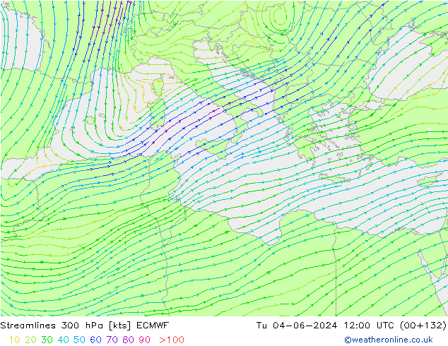 ветер 300 гПа ECMWF вт 04.06.2024 12 UTC