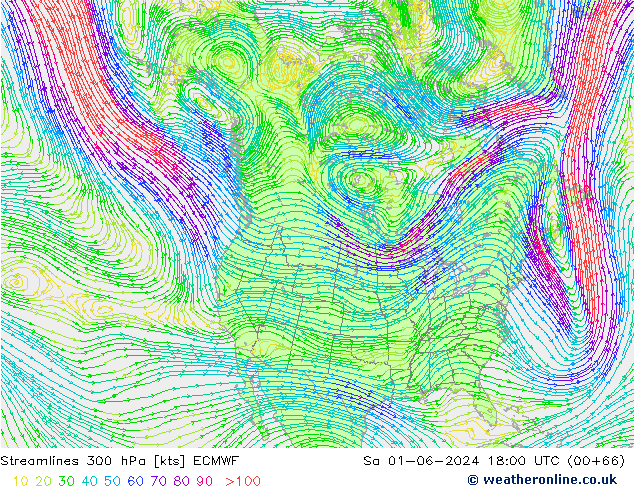 Streamlines 300 hPa ECMWF Sa 01.06.2024 18 UTC