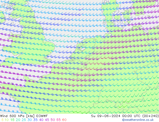 Wind 500 hPa ECMWF zo 09.06.2024 00 UTC