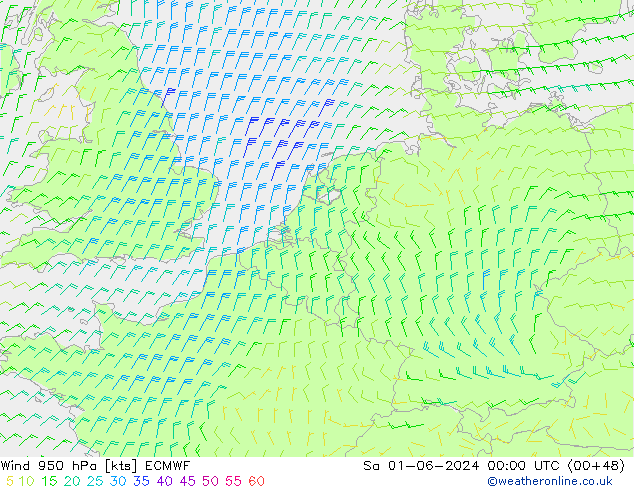 Vento 950 hPa ECMWF Sáb 01.06.2024 00 UTC