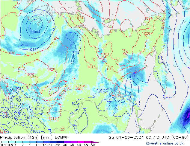 Precipitazione (12h) ECMWF sab 01.06.2024 12 UTC