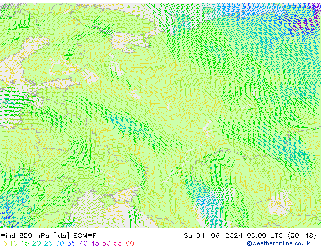 Wind 850 hPa ECMWF Sa 01.06.2024 00 UTC