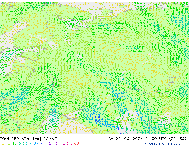 wiatr 950 hPa ECMWF so. 01.06.2024 21 UTC
