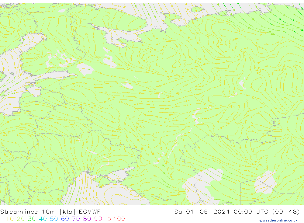 Streamlines 10m ECMWF So 01.06.2024 00 UTC