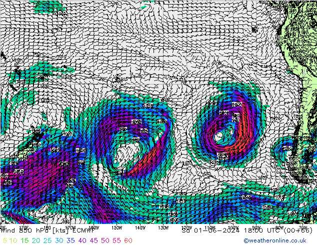 ветер 850 гПа ECMWF сб 01.06.2024 18 UTC
