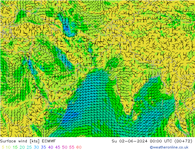 Vento 10 m ECMWF Dom 02.06.2024 00 UTC