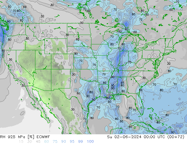 Humedad rel. 925hPa ECMWF dom 02.06.2024 00 UTC