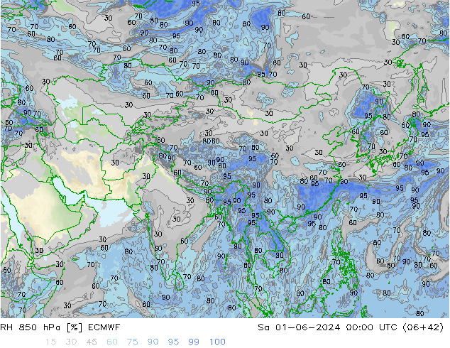 RH 850 гПа ECMWF сб 01.06.2024 00 UTC