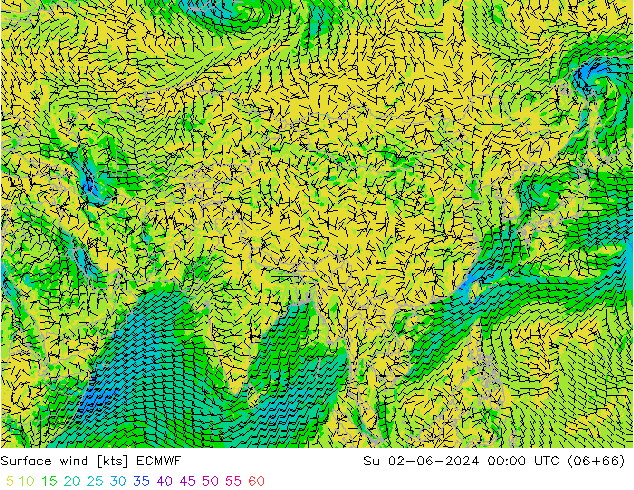 Vento 10 m ECMWF dom 02.06.2024 00 UTC