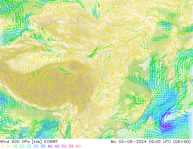 Vent 900 hPa ECMWF lun 03.06.2024 00 UTC