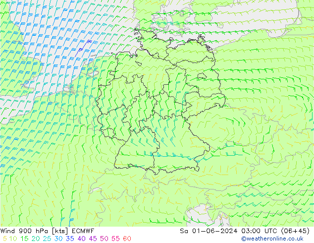 Wind 900 hPa ECMWF Sa 01.06.2024 03 UTC