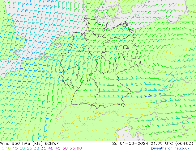 wiatr 950 hPa ECMWF so. 01.06.2024 21 UTC