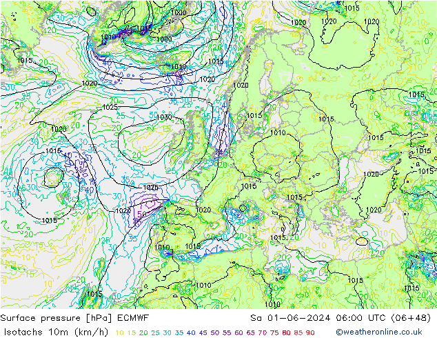 Isotachen (km/h) ECMWF Sa 01.06.2024 06 UTC