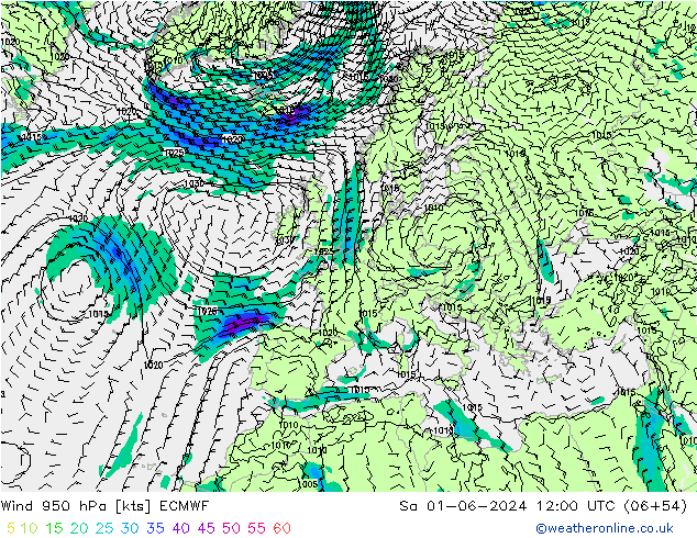 Wind 950 hPa ECMWF So 01.06.2024 12 UTC