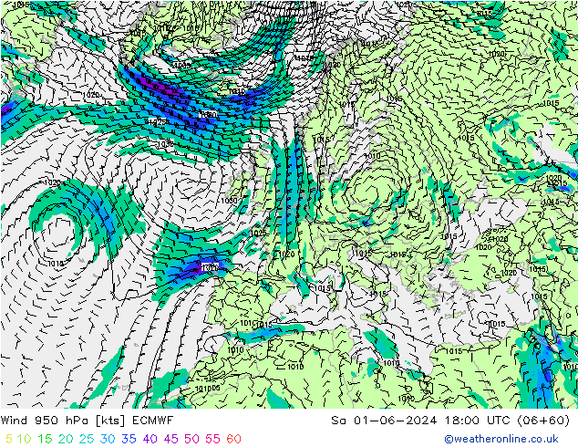 Wind 950 hPa ECMWF Sa 01.06.2024 18 UTC