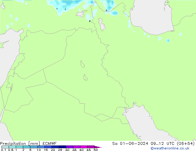 Yağış ECMWF Cts 01.06.2024 12 UTC