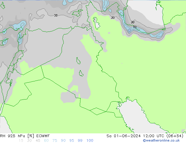 Humedad rel. 925hPa ECMWF sáb 01.06.2024 12 UTC