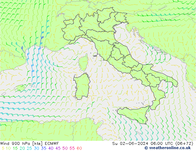 Vento 900 hPa ECMWF dom 02.06.2024 06 UTC