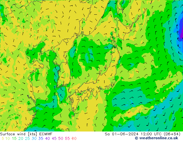 Prec 6h/Wind 10m/950 ECMWF So 01.06.2024 12 UTC