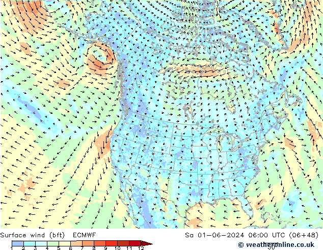 wiatr 10 m (bft) ECMWF so. 01.06.2024 06 UTC