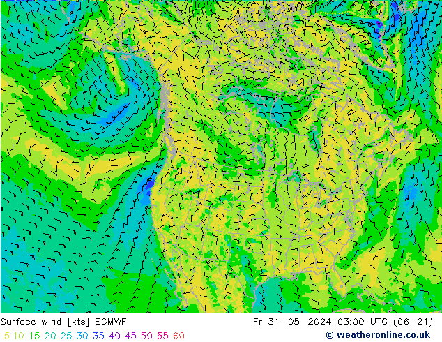 Surface wind ECMWF Fr 31.05.2024 03 UTC